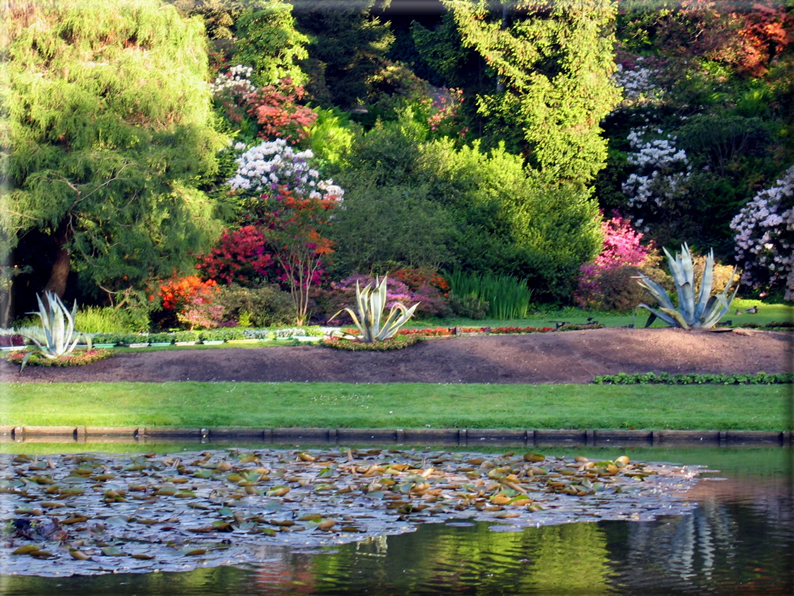 foto Parco Karlsaue in Estate